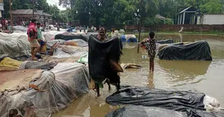 ময়মনসিংহের হাটে পানিতে ভাসছে শতশত চামড়া, উদ্ধারে মৌসুমী ফড়িয়ারা